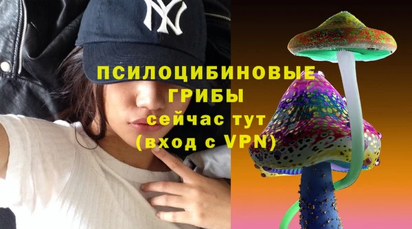 ПСИЛОЦИБИНОВЫЕ ГРИБЫ Алзамай