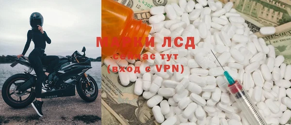 ПСИЛОЦИБИНОВЫЕ ГРИБЫ Алзамай